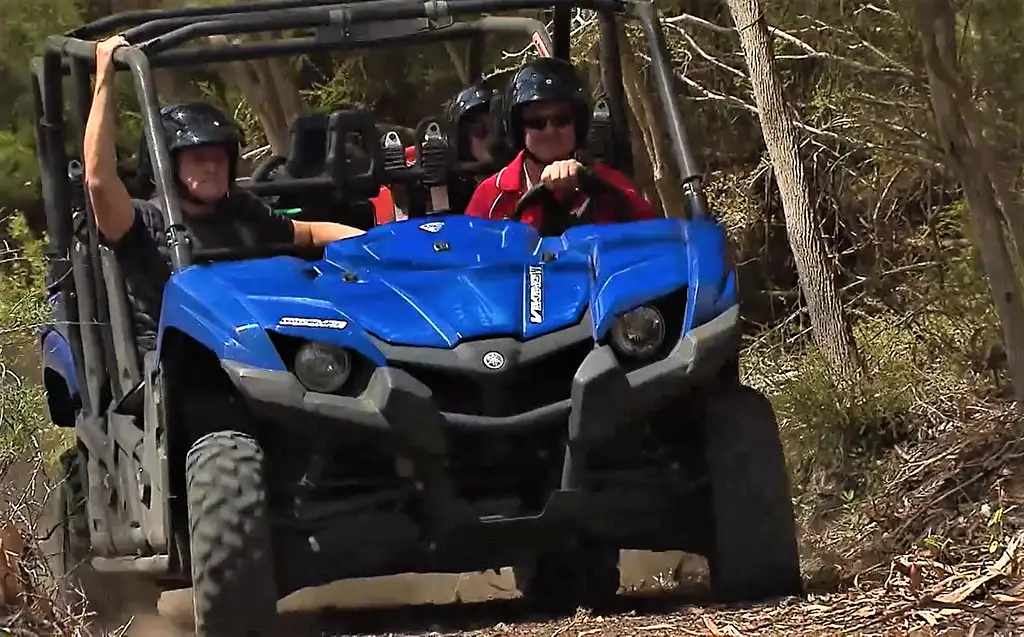 1 Hour Little Sahara Buggy Tour - Vivonne Bay
