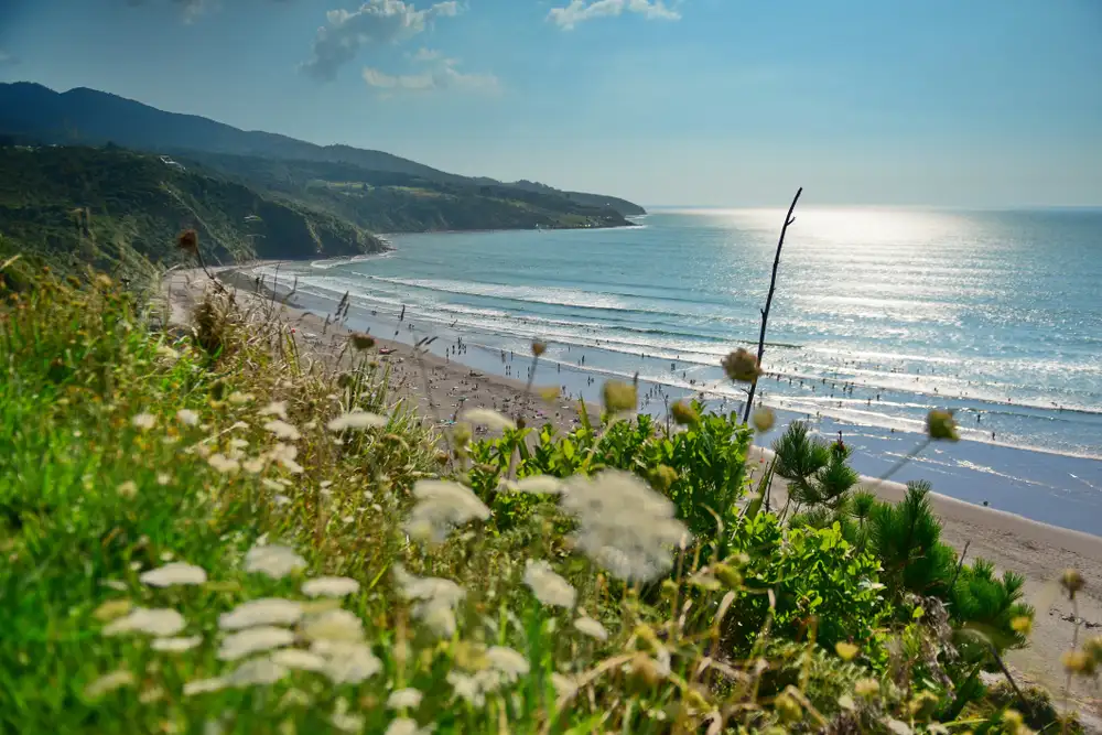 7 Day Best of the North: Auckland to Wellington | G Adventures 18 to 30somethings
