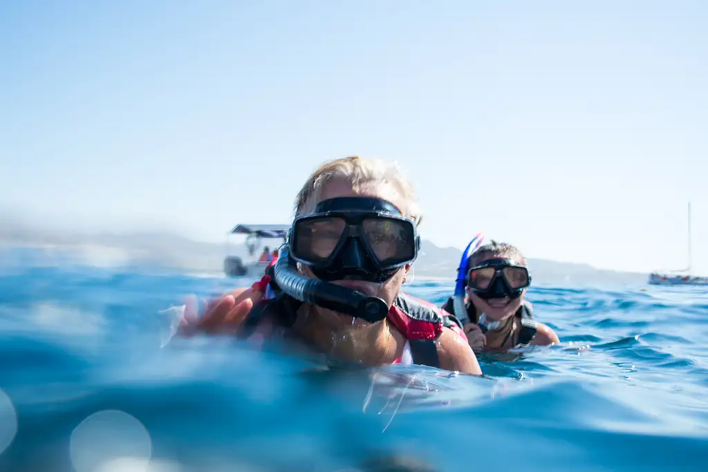 SUP At The Arch Of Cabo San Lucas