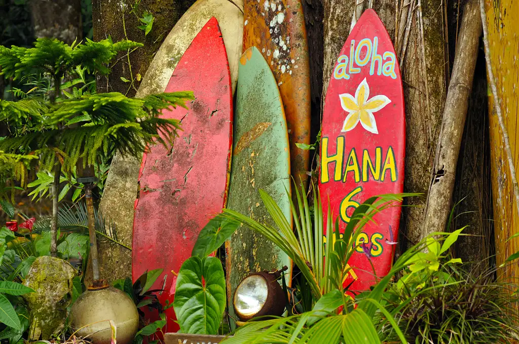 Road to Hana Adventure Tour with Lunch | From Maui