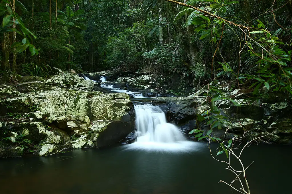 Glow-worms, Waterfalls & Rainforest Experience Tour