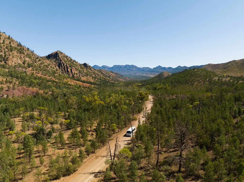6 Day Eyre Peninsula and Flinders Ranges Adventure Tour
