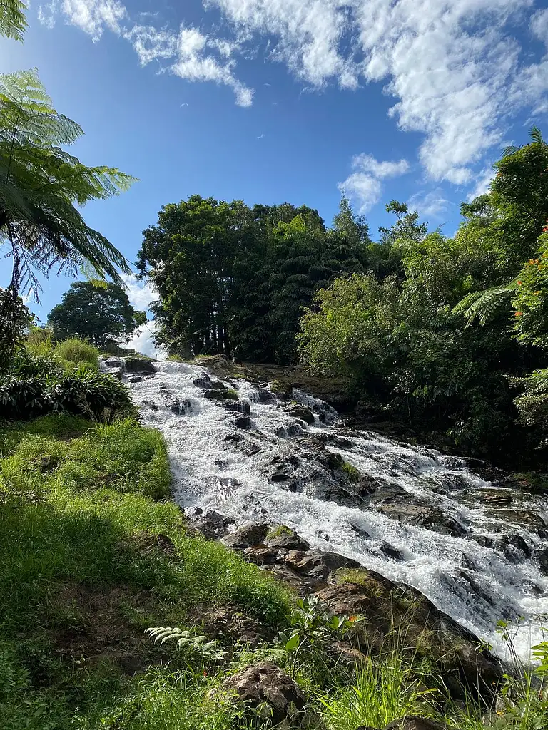 Uncle Brian's 2 Day Best of Both Worlds Tour: Atherton Tablelands & Cape Tribulation