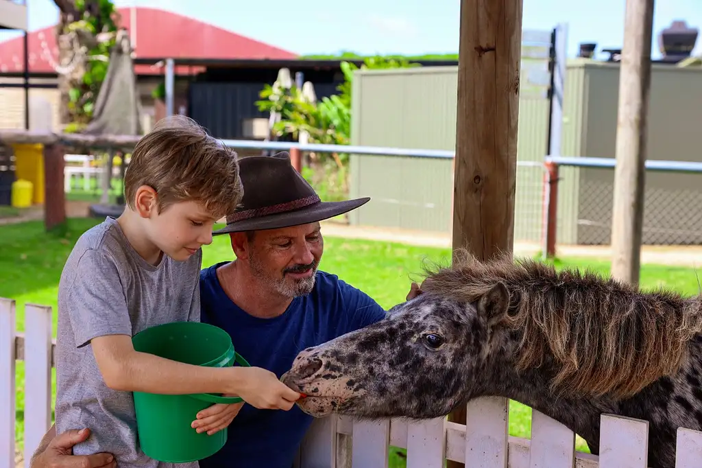 Guided Horse Riding with Petting Zoo entry