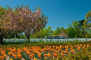 Arlington National Cemetery Tram Tour Experience