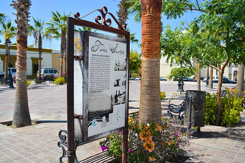Todos Santos Jeep