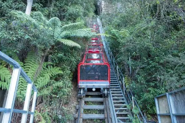 Blue Mountains & Featherdale Full Day Tour