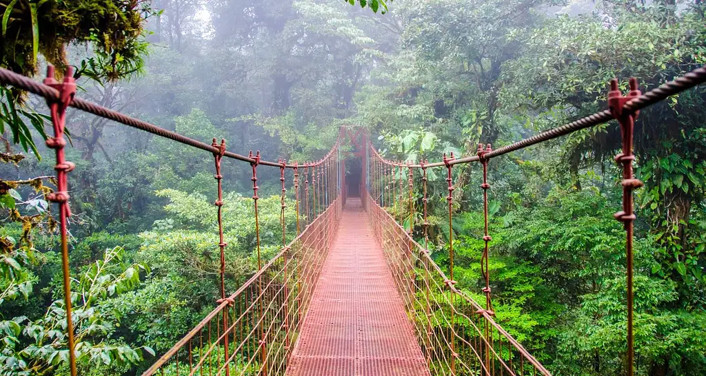 11 Days Epic Costa Rica: Craters, Rainforests & Hanging-10 | G Adventures 18-35's