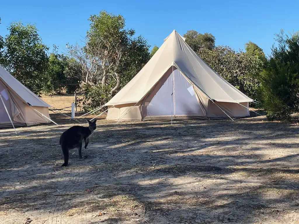 Kangaroo Island 2 Day Wildlife Adventure | Groovy Grape Adventures