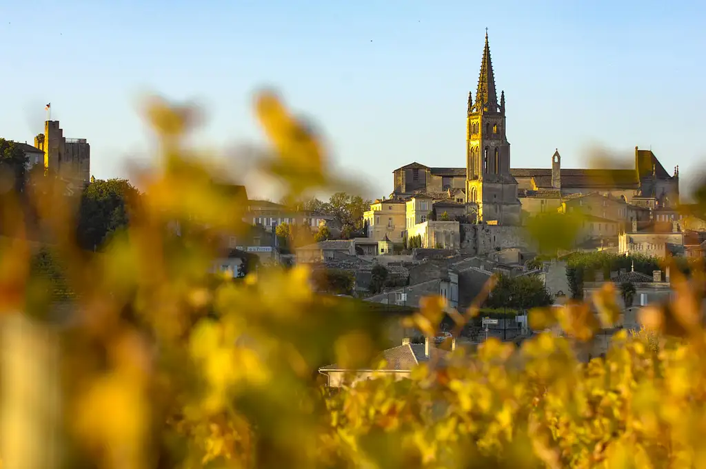 Grand Cru Chateau and Saint-Emilion Village Half Day Guided | From Bordeaux