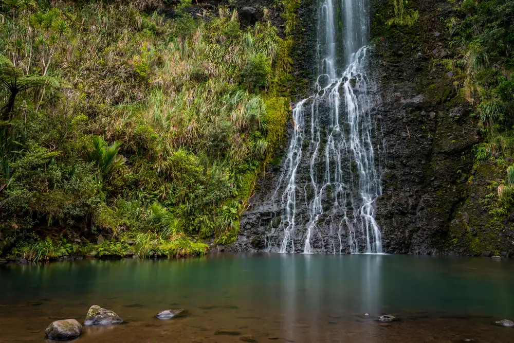 NZ West Coast Discovery Day Tour | Auckland