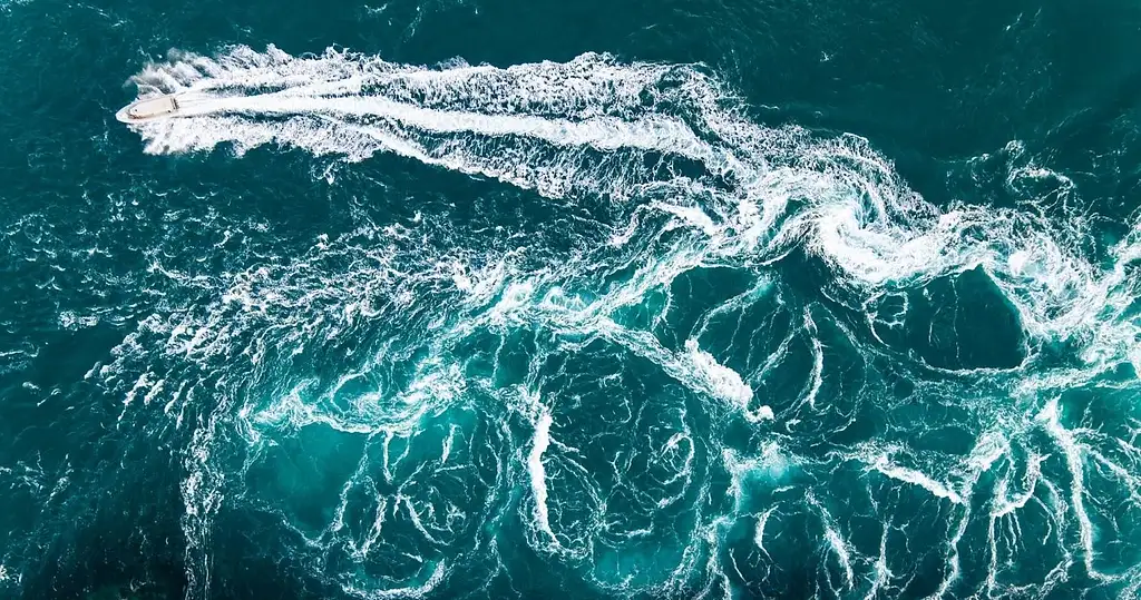 Giant Tides Sea Safari | From Cygnet Bay