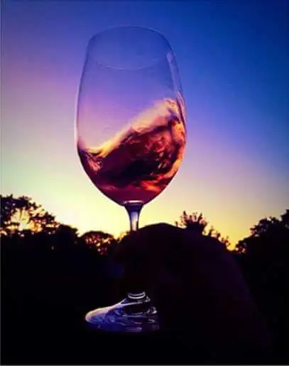 Premium Full Day Wine Tour - Margaret River
