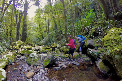 Lamington National Park Walks