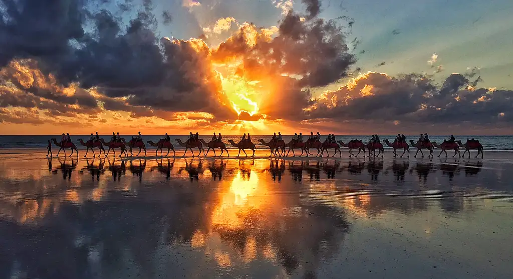 Sensational Sunset Camel Tour