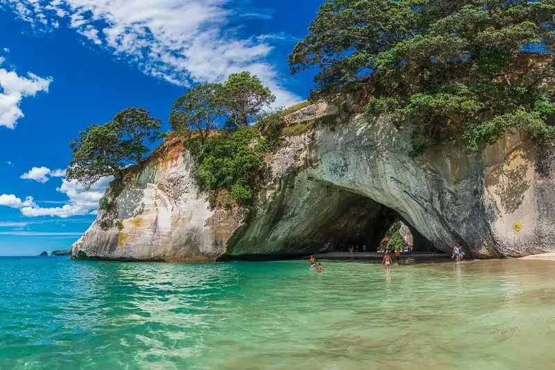 Coromandel Peninsula Day Trip From Auckland