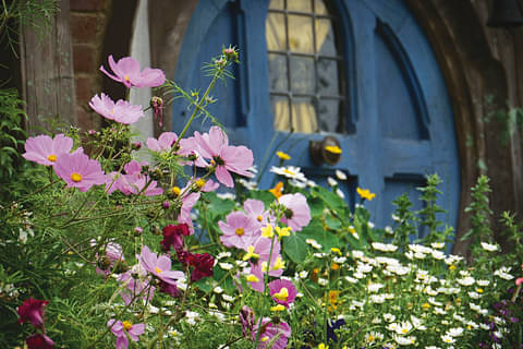 Hobbiton movie set tour discounts
