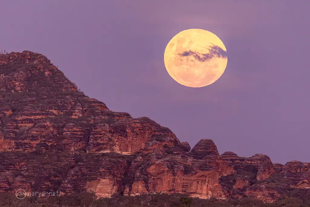 Broome to Purnululu (Bungles) Overnight Tour | 2025 Season