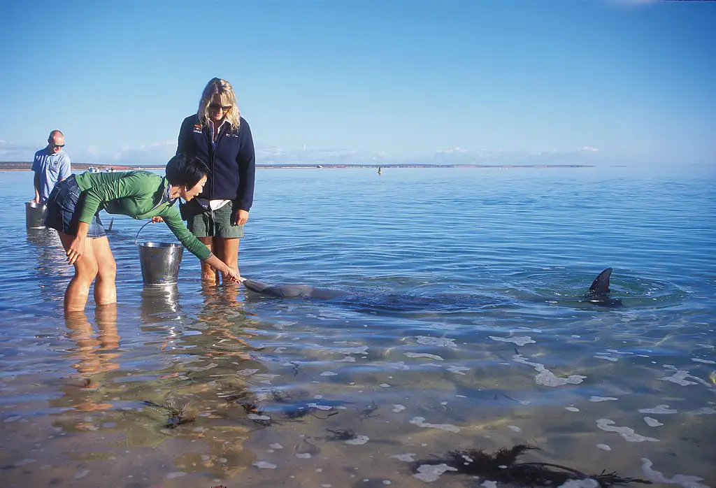 4 Day Perth to Monkey Mia Coastal Loop Return