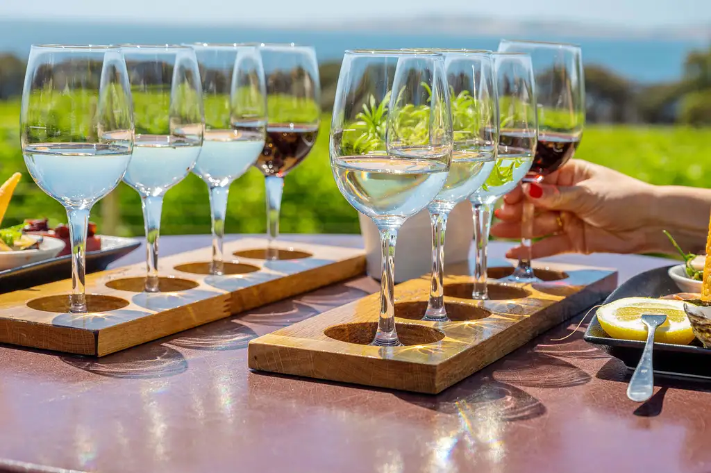 Coffin Bay Oyster Farm Day Tour