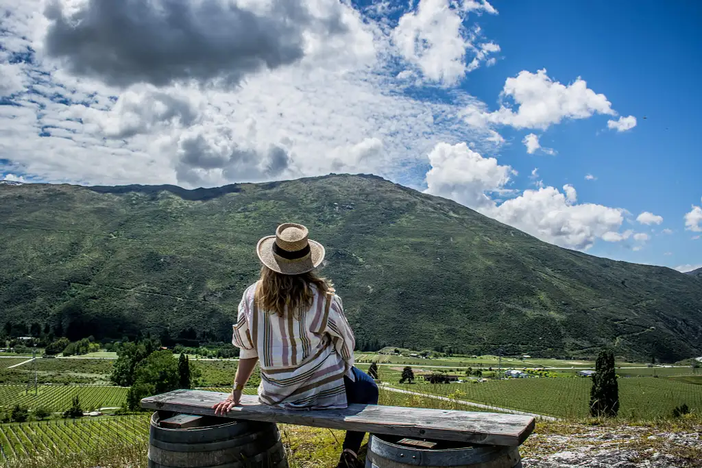 Hop on Hop off Wine & Beer Tours | From Queenstown
