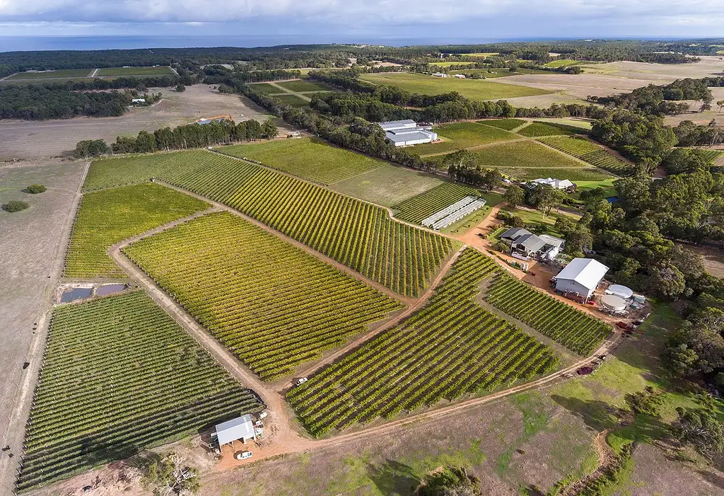 Premium Vineyard Wine & Food Tour - Margaret River