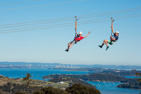 best EcoZip waiheke island tour
