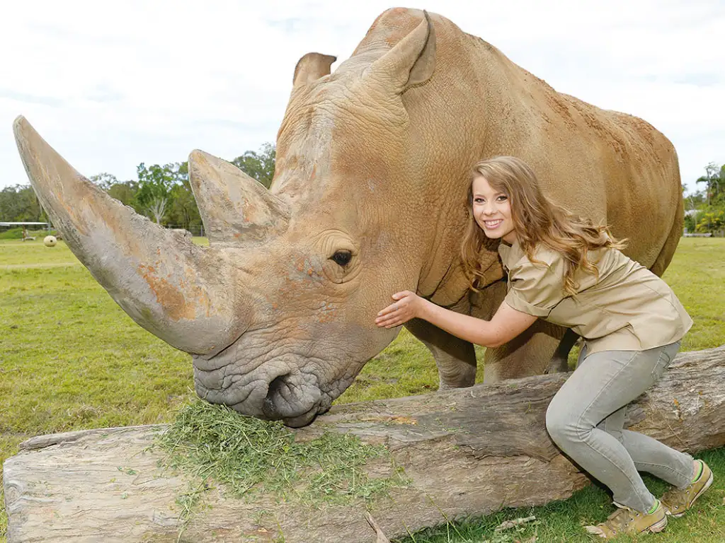 AUSTRALIA ZOO Transfer including Entry Ticket | Sunshine Coast