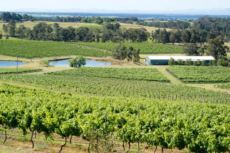 Hunter Valley All Inclusive Small Group Wine Tour