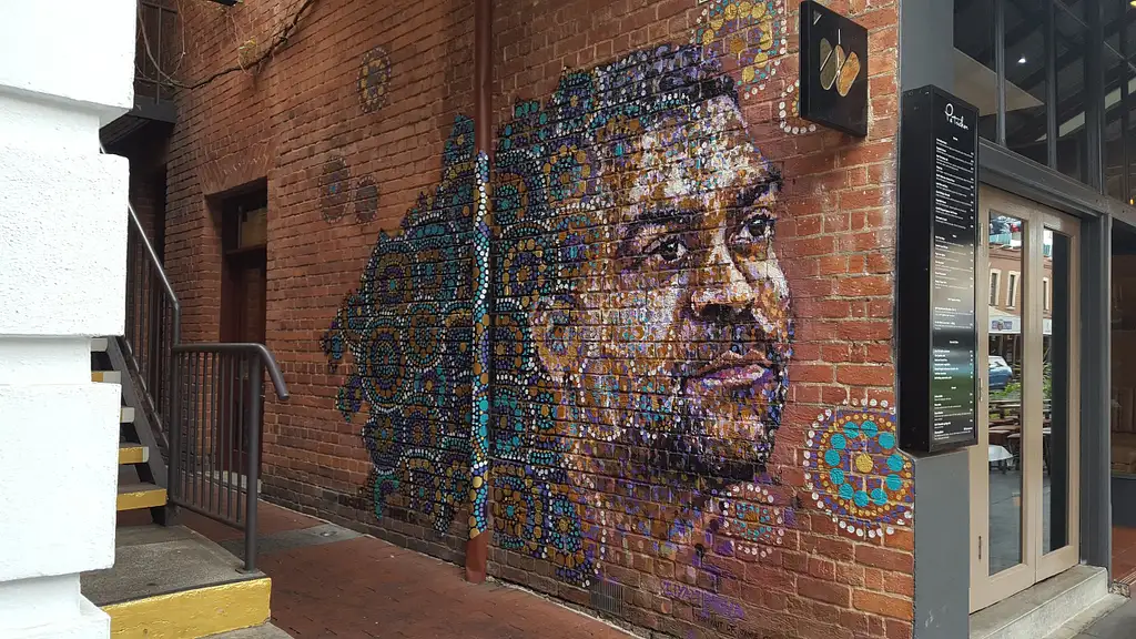 Jimmy C Adelaide Street Art Tour