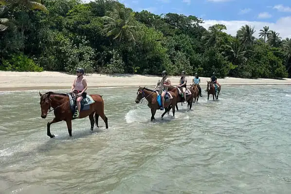 Cape Tribulation beach horse ride