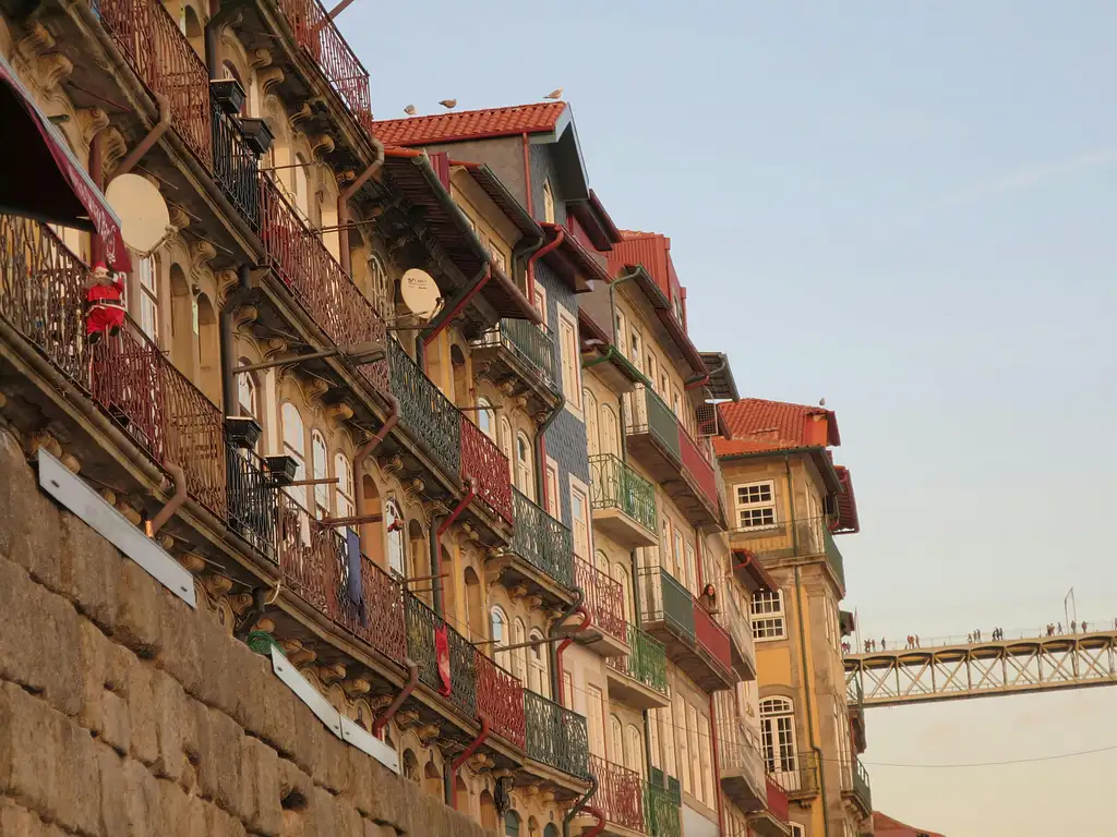 Half-day Tour of Port Wine Cellars and Cheese Tasting | From Porto
