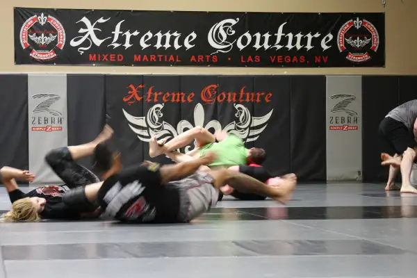 Las Vegas Fight Tour