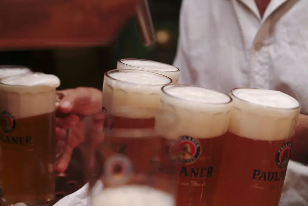 Brewery and Hofbrauhaus Tour in Munich