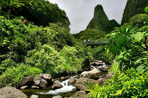 Lahaina and West Maui Mountains private tour