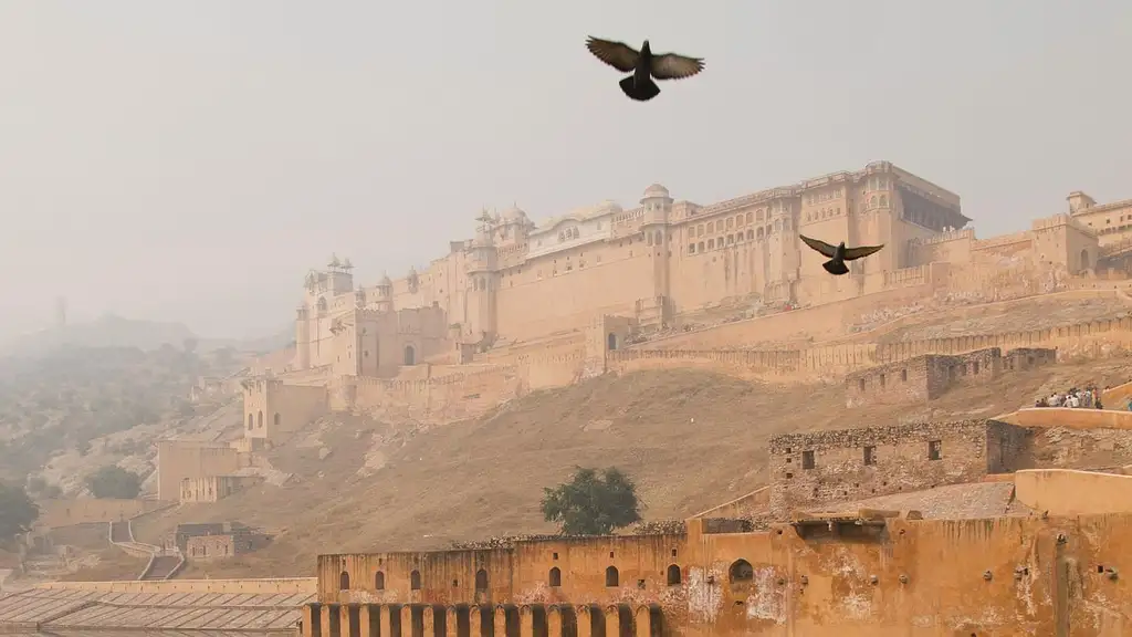 15 Day Uncover India Tour: Delhi to Goa | G Adventures 18-30's