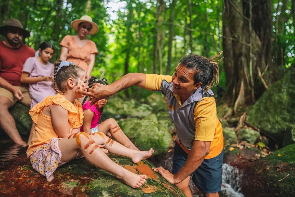 Full Day Or Half Day Daintree Rainforest Walkabout