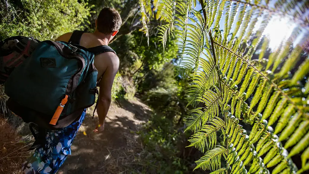 16 Day NZ South Island Encompassed: Wellington to Wellington | G Adventures 18 to 30somethings