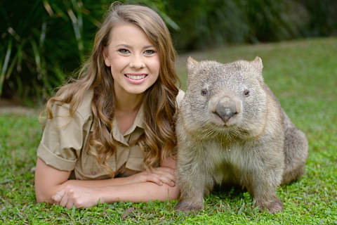 Australia Zoo Entry
