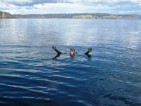 Bay of Islands scuba diving voucher
