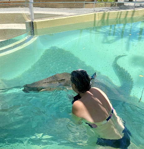 SWIM WITH CROCODILE NORTH QUEENSLAND