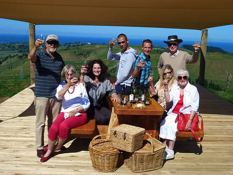 Napier Wine & Gin Tasting Tour + Chef's Platter Lunch Special