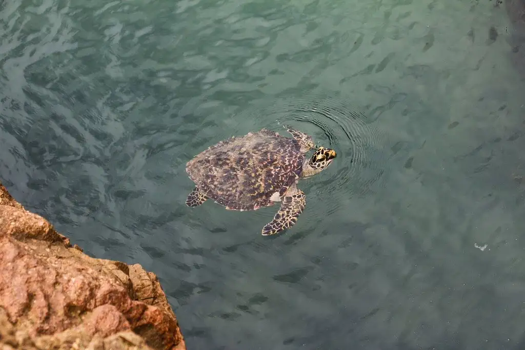 1770 Castaway Adventure 4 Day 3 Night Tour