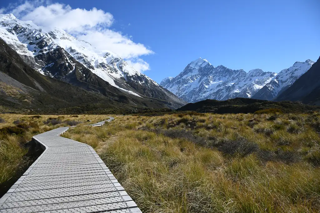 Christchurch to Mt Cook Day Tour - One way