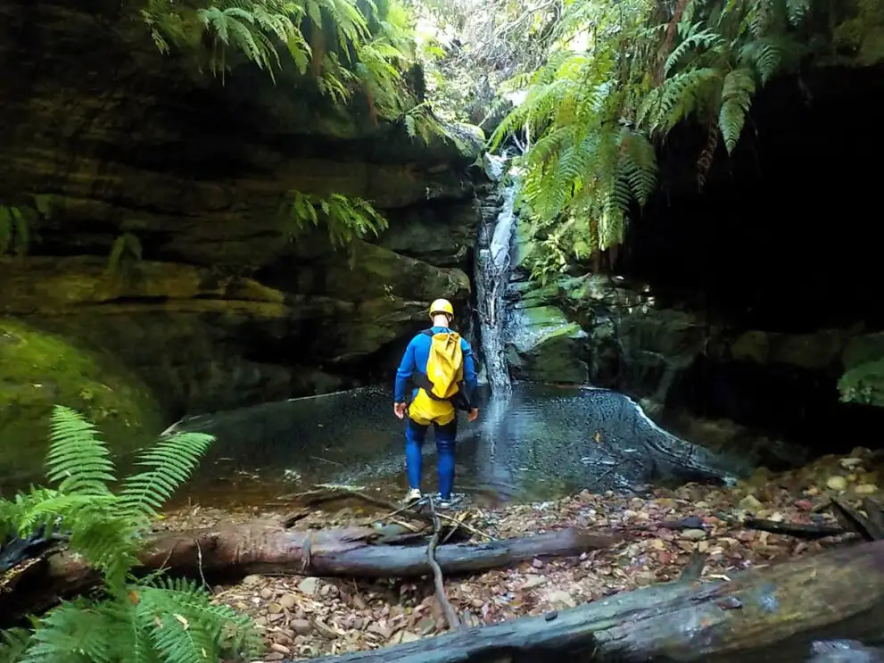 Serendipity Canyon | Blue Mountains Abseiling Tour