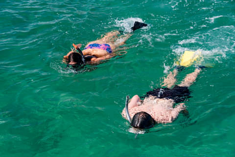 Bay of Islands Cruise deals