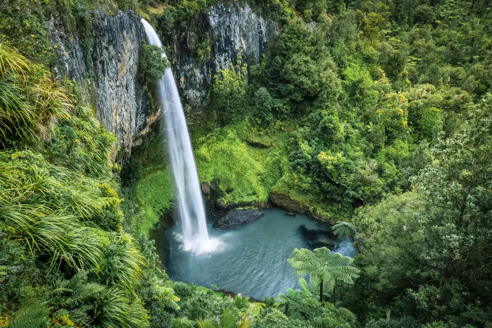 7 Day Best of the North: Auckland to Wellington | G Adventures 18 to 30somethings