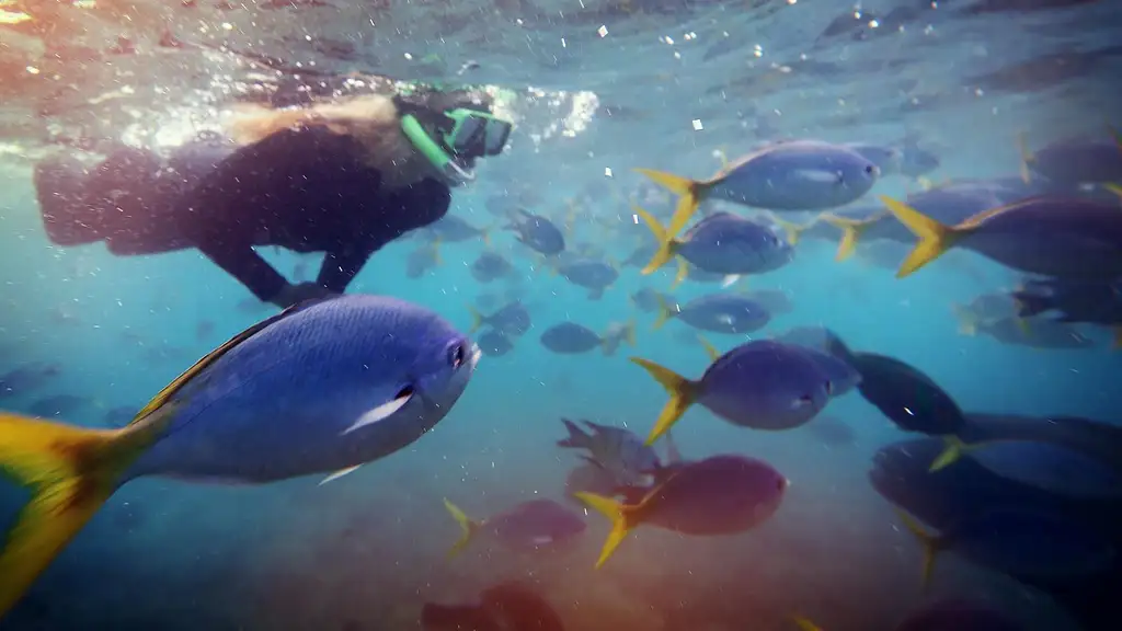 14 Day Best of Australia Tour: Cairns to Sydney | G Adventures