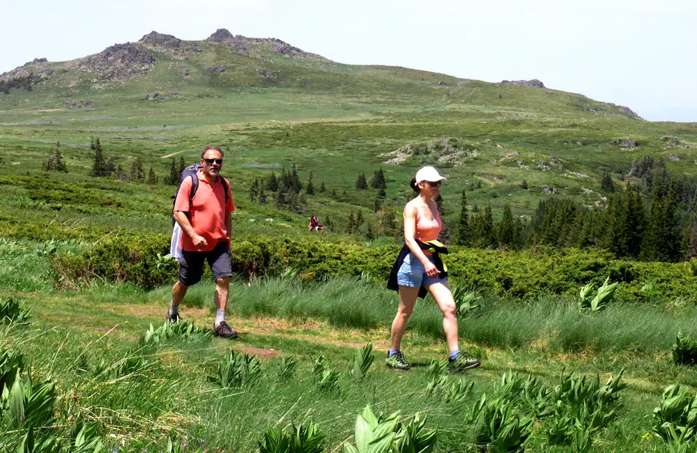 One-day Hiking Tour From Sofia To Vitosha Mountains