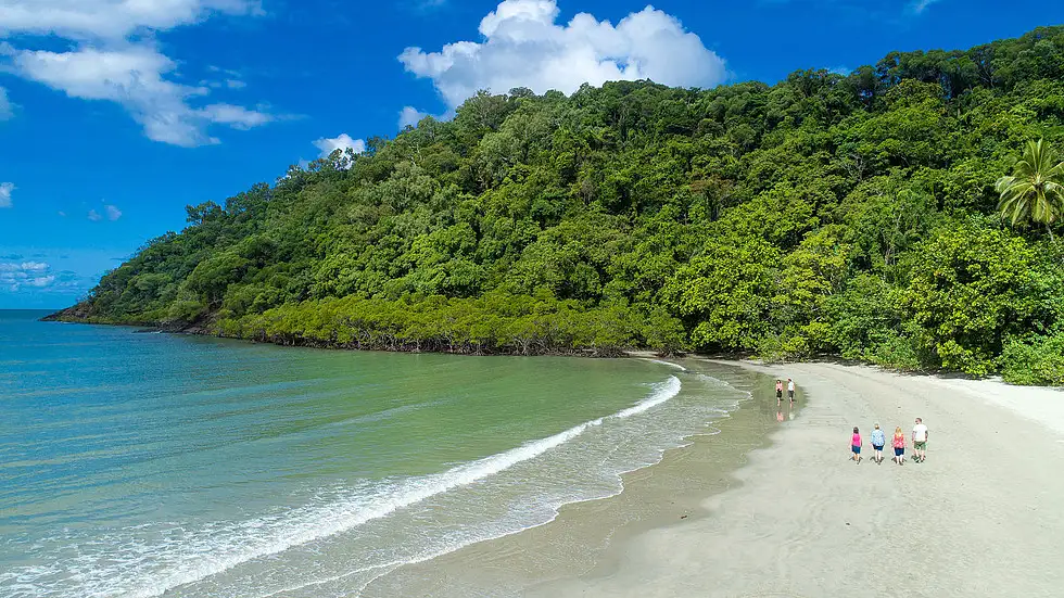 Daintree Rainforest & Great Barrier Reef 2 Day Package **SAVE $49pp**